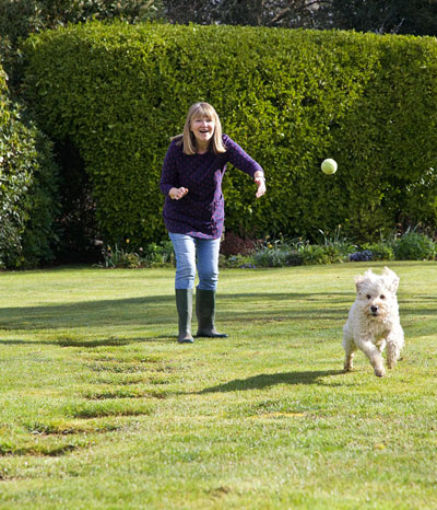 dog-home-boarding-brockenhurst